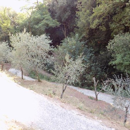 فيلا Fattoria Ceragioli كامايوري المظهر الخارجي الصورة