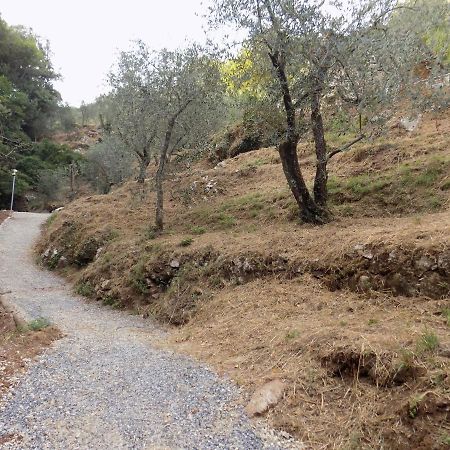 فيلا Fattoria Ceragioli كامايوري المظهر الخارجي الصورة