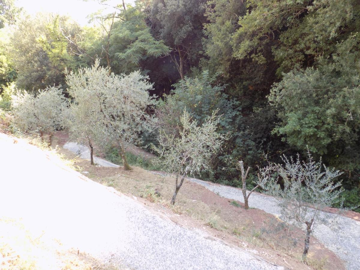 فيلا Fattoria Ceragioli كامايوري المظهر الخارجي الصورة