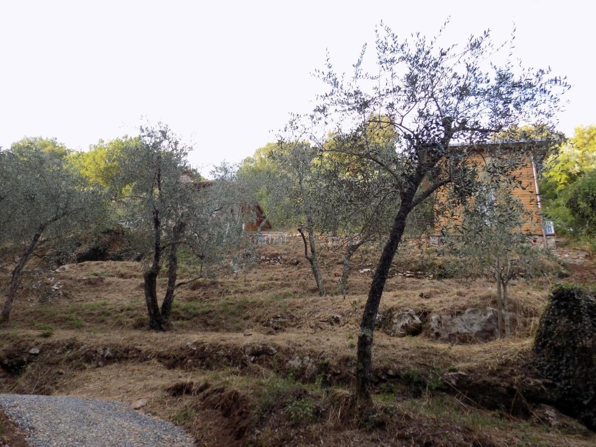 فيلا Fattoria Ceragioli كامايوري المظهر الخارجي الصورة